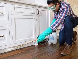 Best Pest Prevention Services  in Littlerock, CA